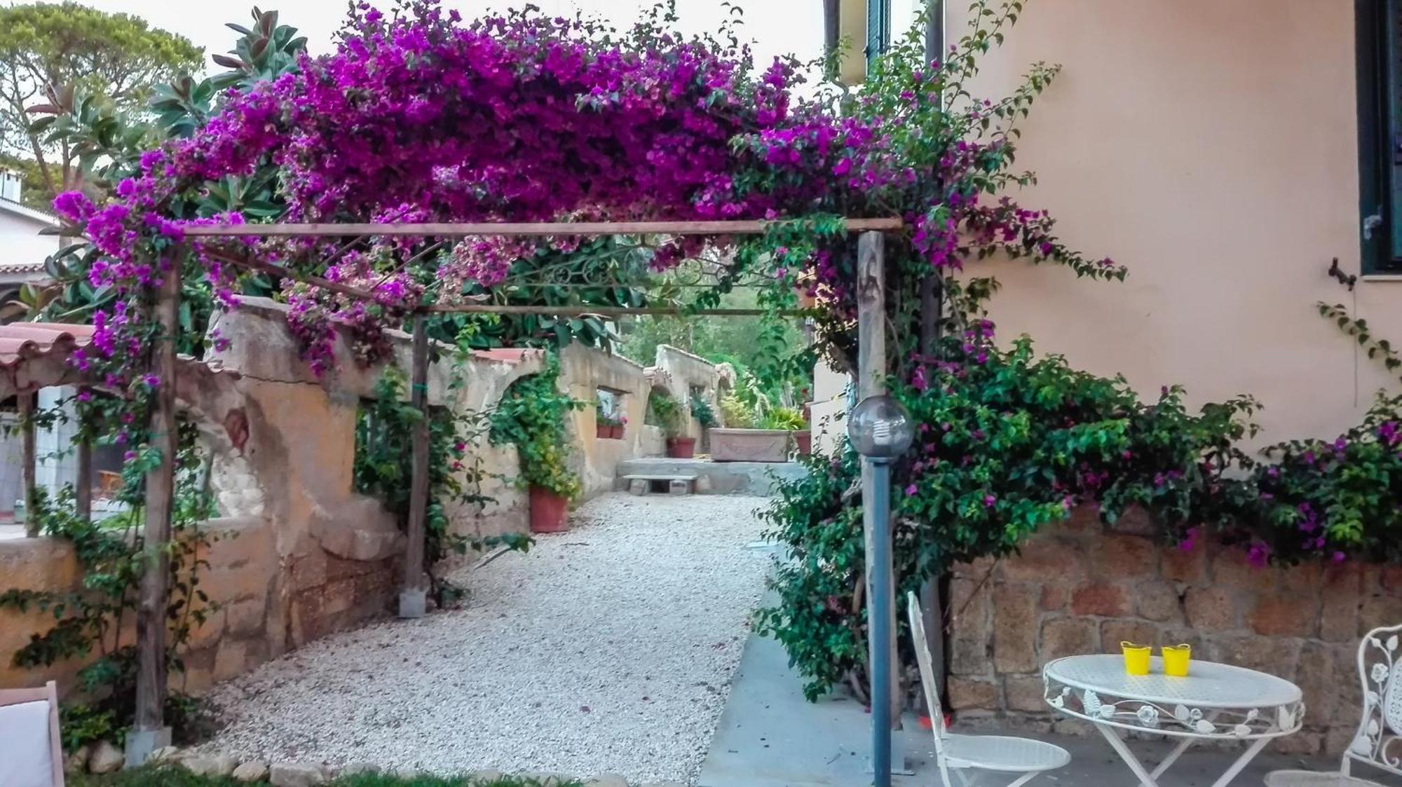 קאלה ליברוטו B&B Giglio Di Mare מראה חיצוני תמונה