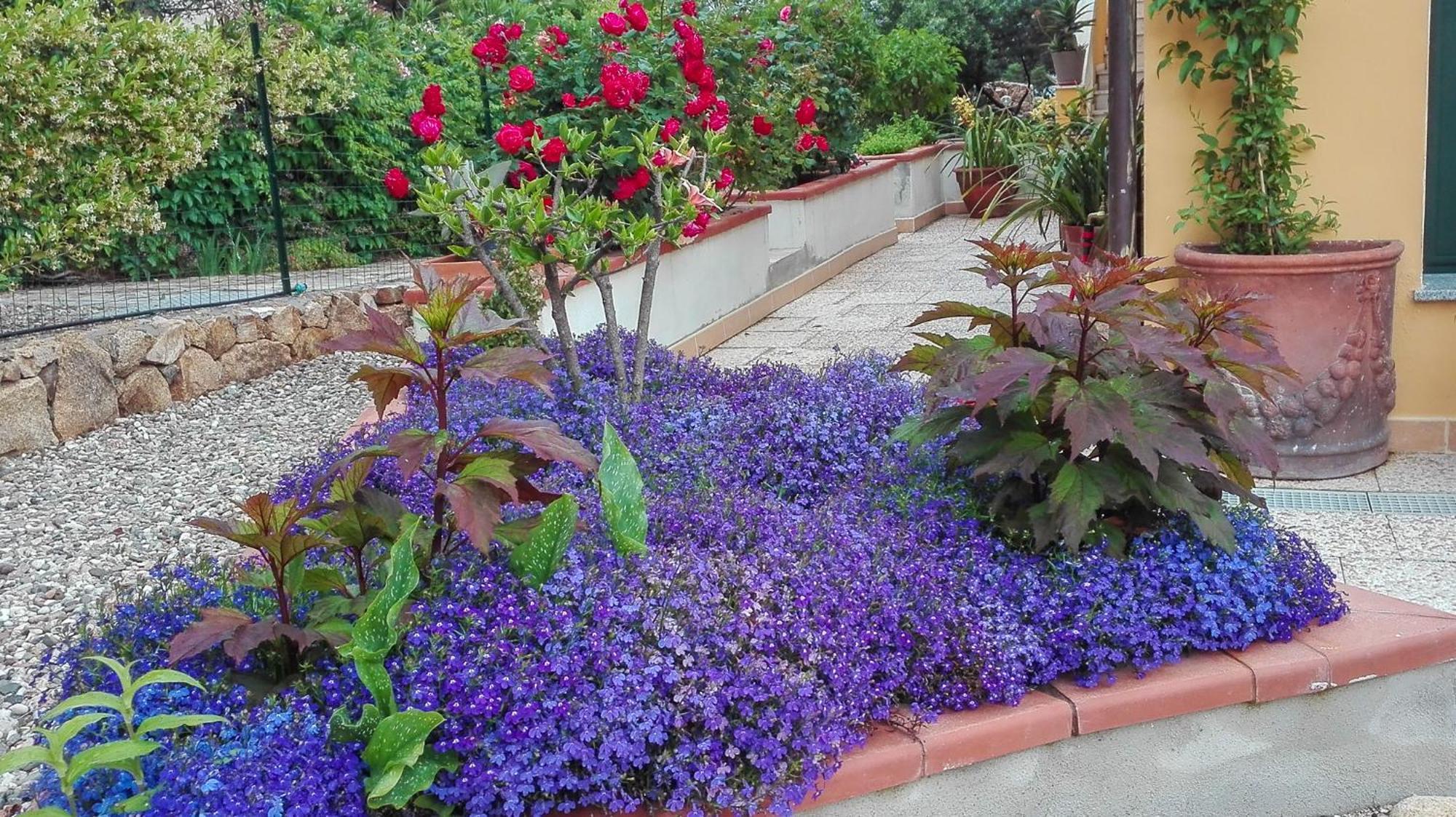 קאלה ליברוטו B&B Giglio Di Mare מראה חיצוני תמונה