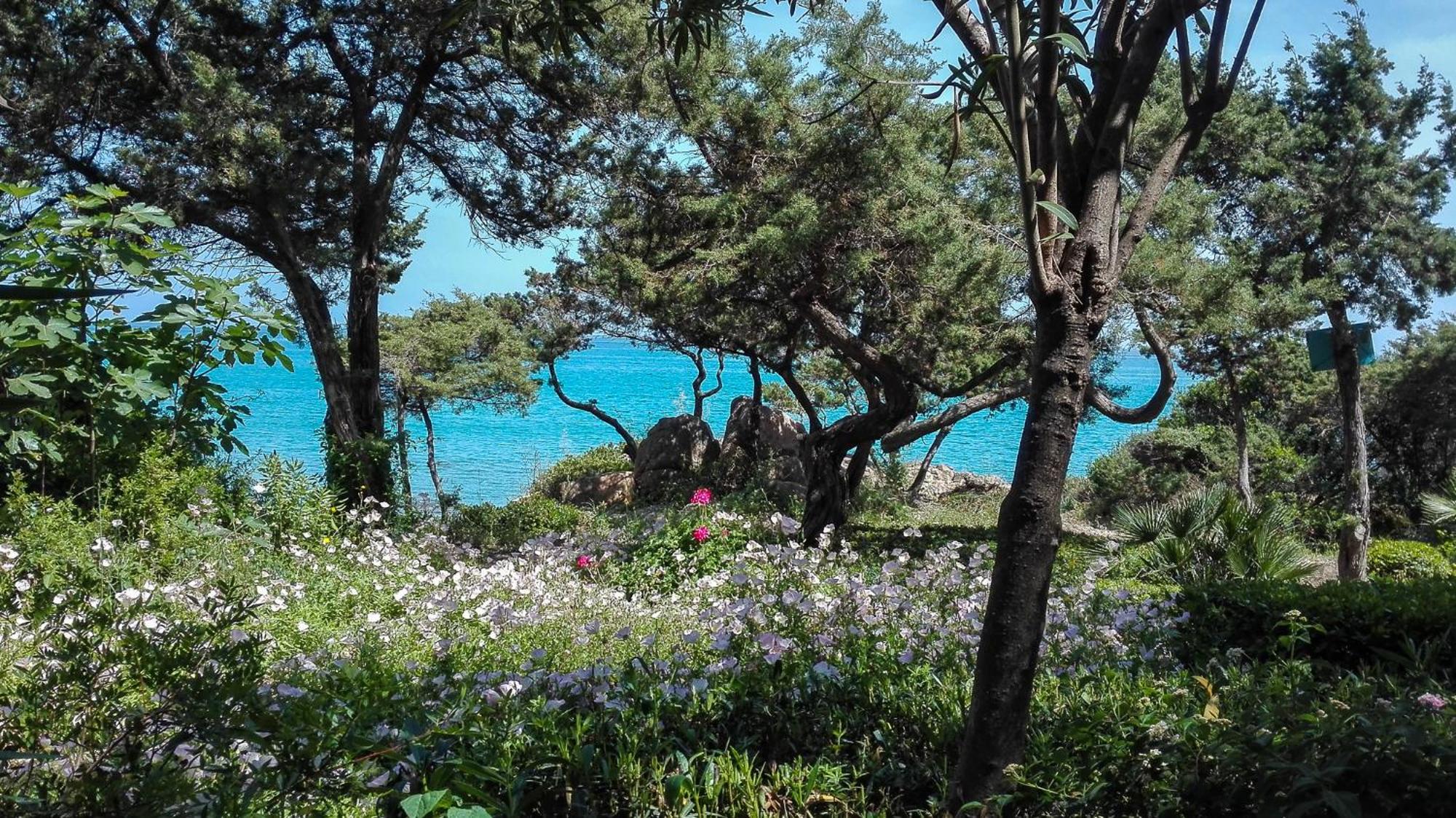 קאלה ליברוטו B&B Giglio Di Mare מראה חיצוני תמונה